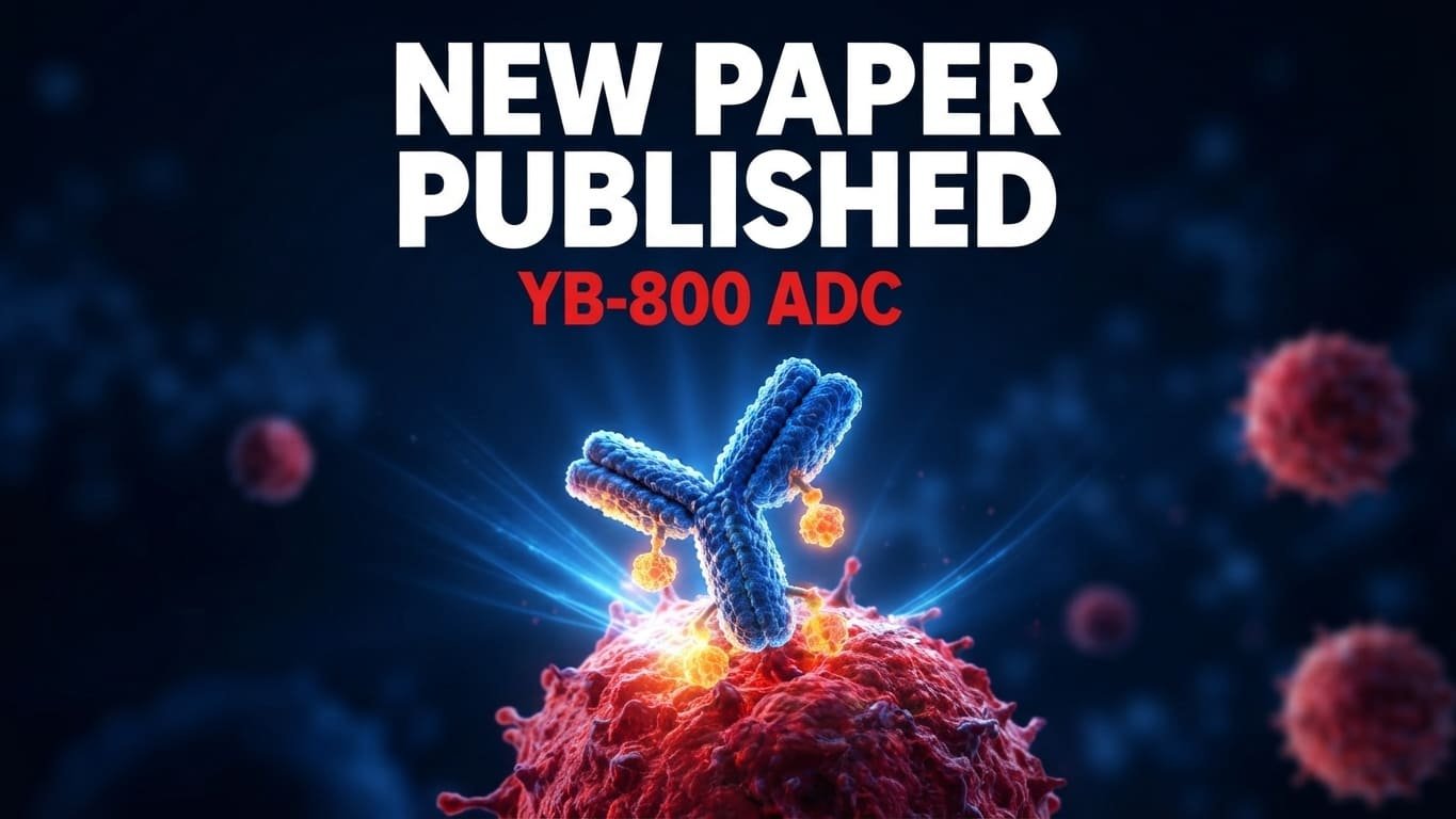 YB-800 ADC: 3D illustration of an antibody carrying drug molecules targeting a red cancer cell.